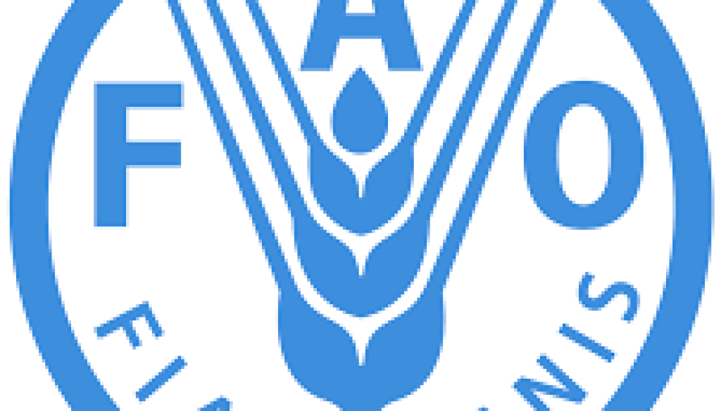 National Specialist on Climate-related Sectoral Studies and Policy Review Vacancy-Job Ref: WJGMFAO/2107/2057834